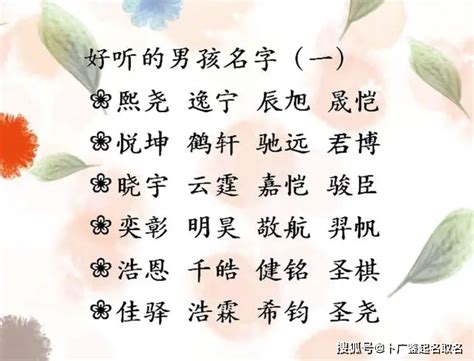 智慧的名字|智慧的名字寓意是什么意思 智慧的意思